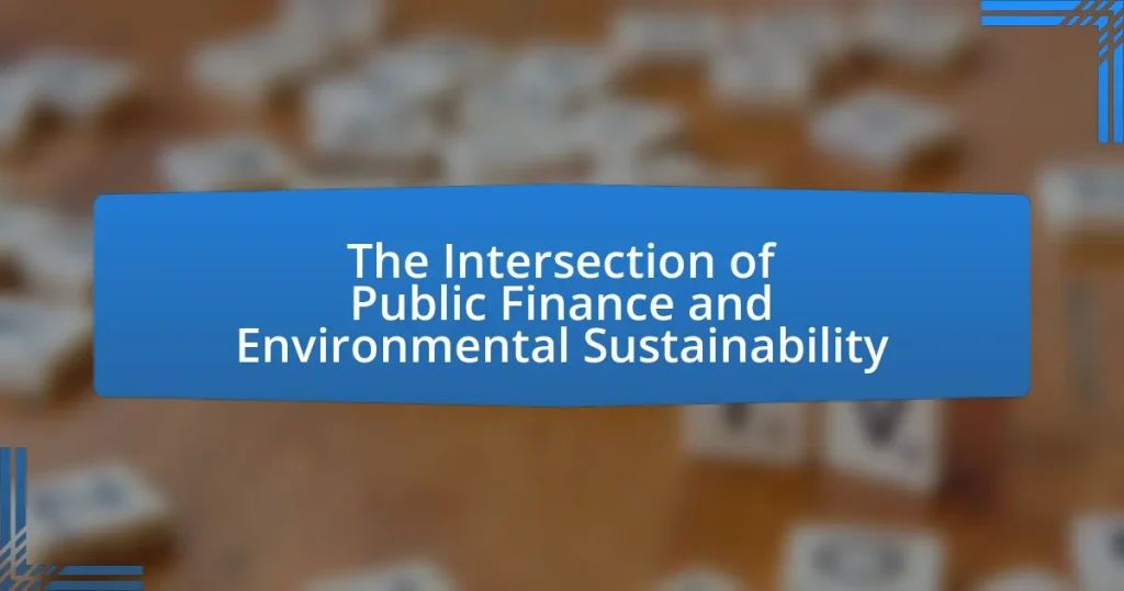 The Intersection of Public Finance and Environmental Sustainability