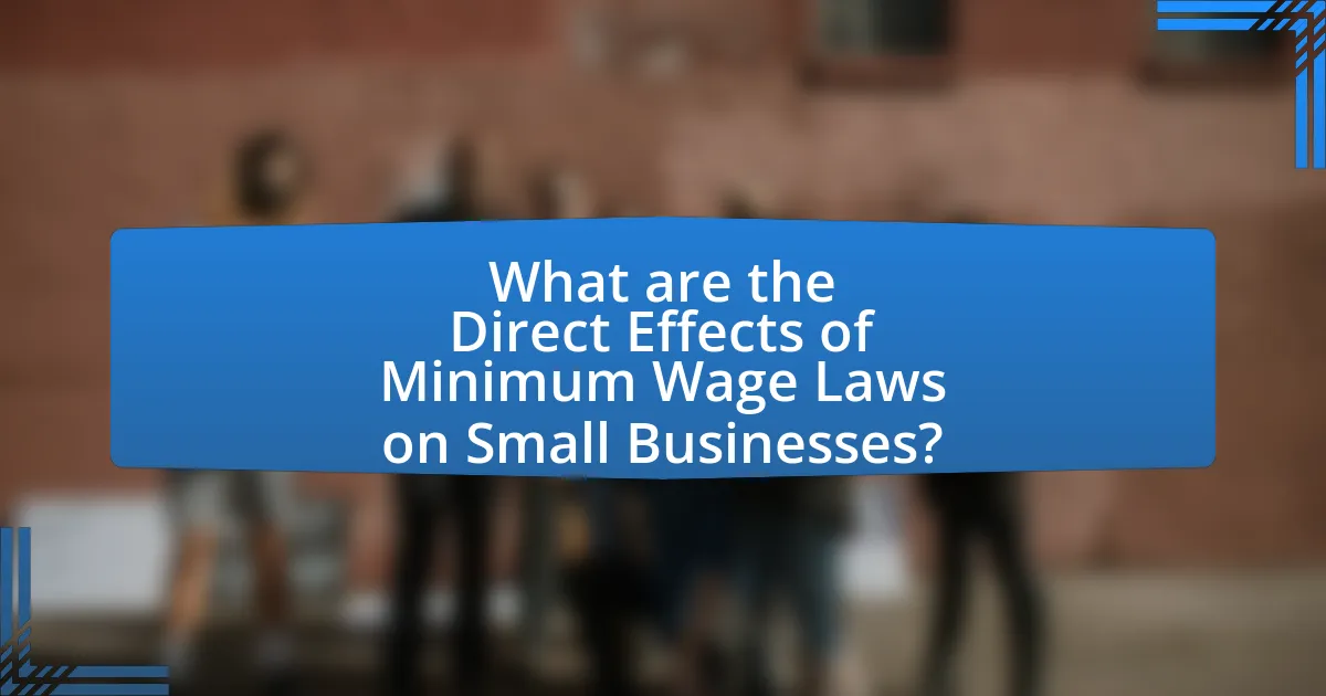 What are the Direct Effects of Minimum Wage Laws on Small Businesses?