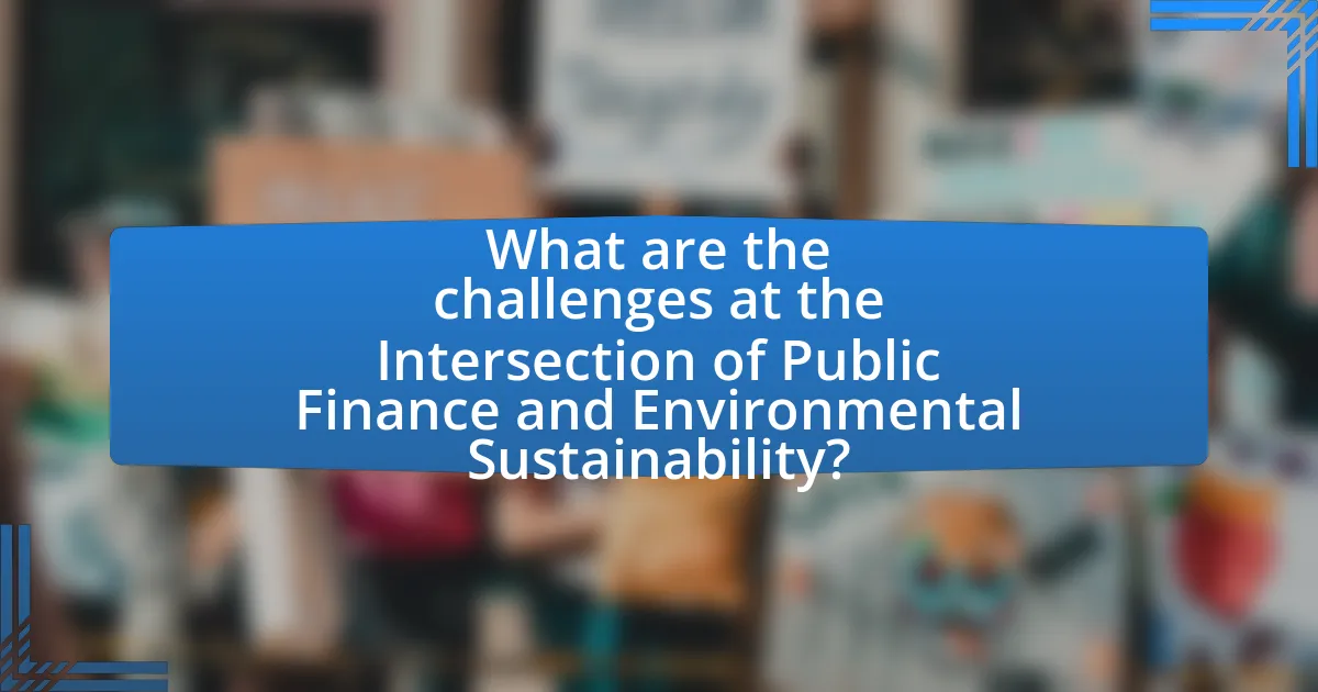 What are the challenges at the Intersection of Public Finance and Environmental Sustainability?