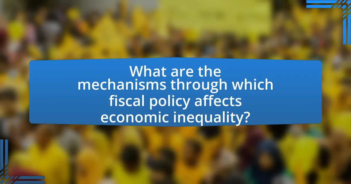 What are the mechanisms through which fiscal policy affects economic inequality?