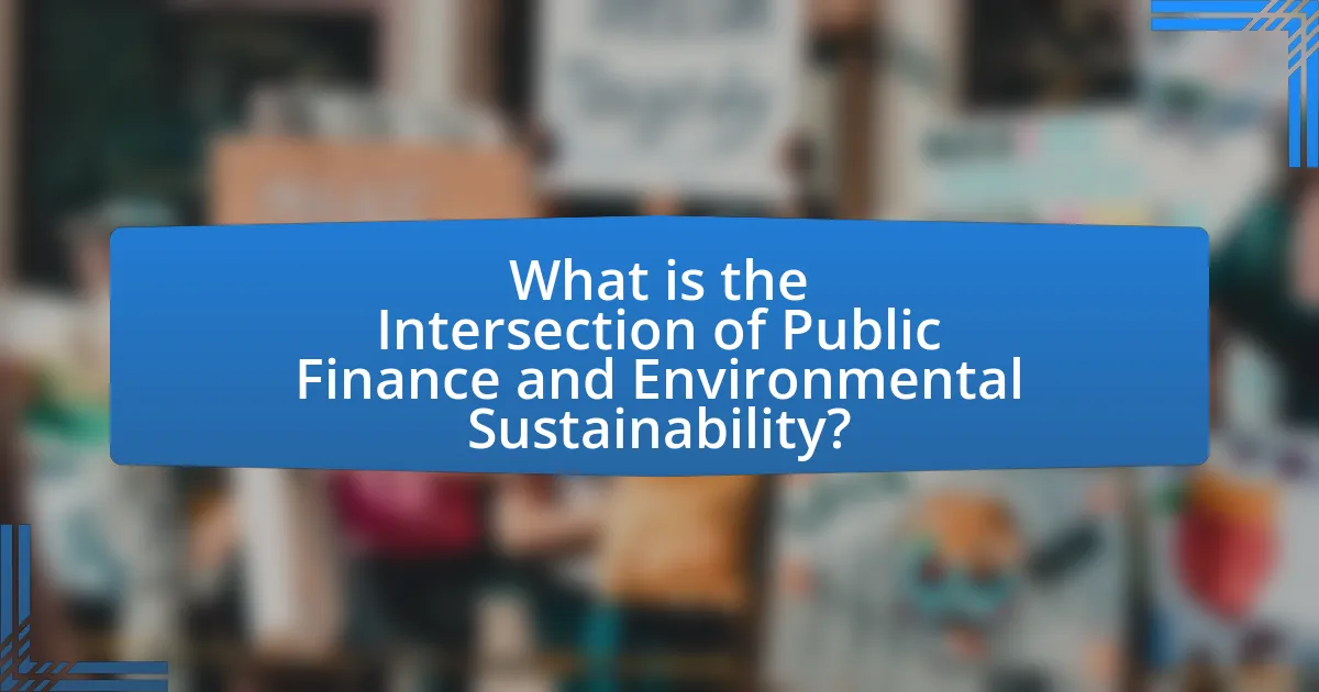 What is the Intersection of Public Finance and Environmental Sustainability?